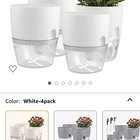 New to keeping Venus flytraps, advice?