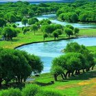 Golden Gardens Park: Where Nature and Urban Life Coexist