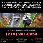 Pest Control Needs. Call Us Today!